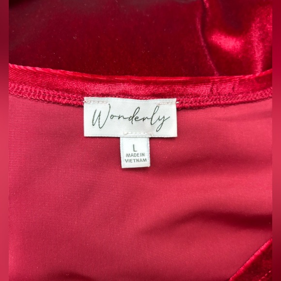 Wonderly Women's Velvet Velour Top
Long Sleeves Festive Large - Picture 5 of 5